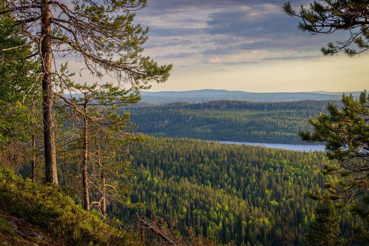 Go To Finland