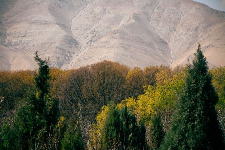کارگاه رمزگشایی شخصیت